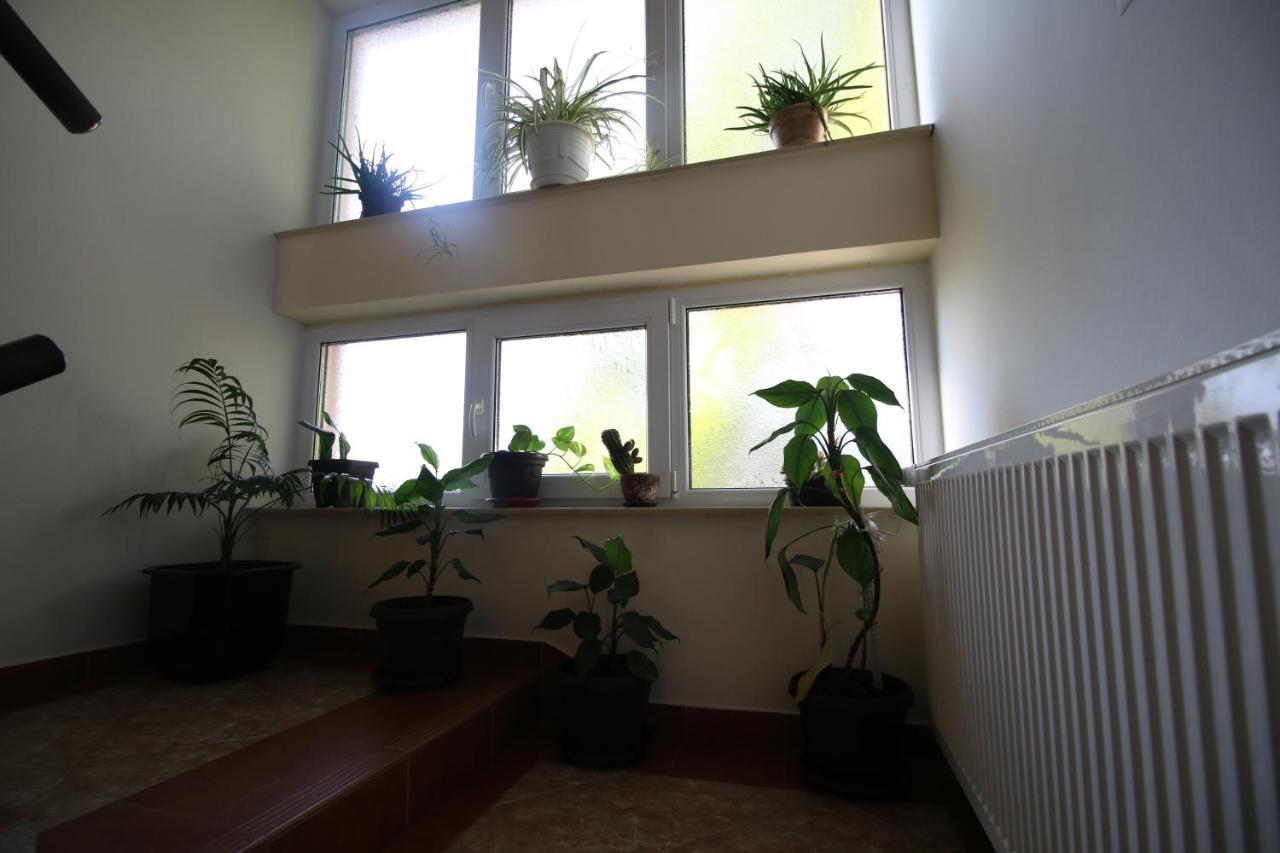 Hostel Teresianum Aleksinac Exteriör bild